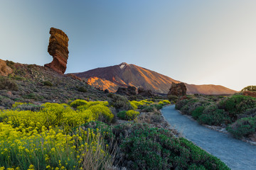 View of unique Roques de Garcia unique rock formation with famous Pico del Teide mountain volcano summit in the background on a sunny morning. Teide National Park, Tenerife, Canary Islands, Spain. © cegli