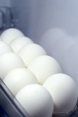 White chiken eggs in the fridge