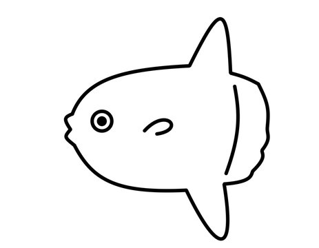 recommend clip art: マンボウ(線画)