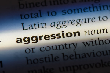 Obraz premium aggression