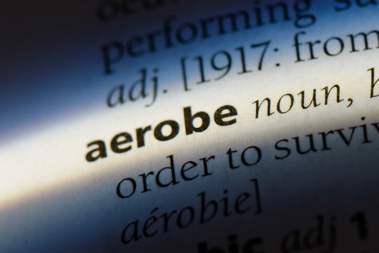 aerobe