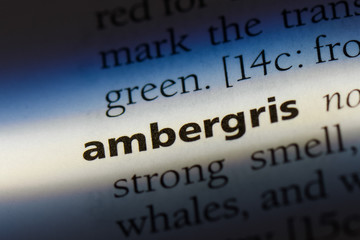 Obraz premium ambergris