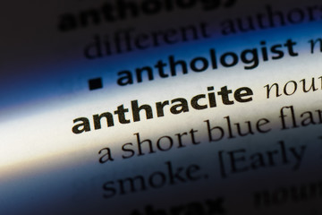 Obraz premium anthracite