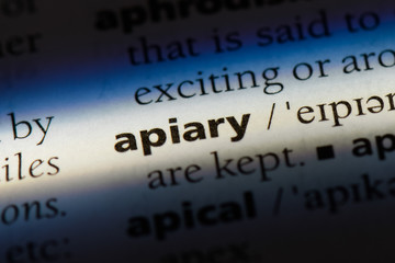 Obraz premium apiary