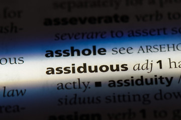 assiduous word in a dictionary. assiduous concept.