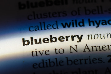 Obraz premium blueberry