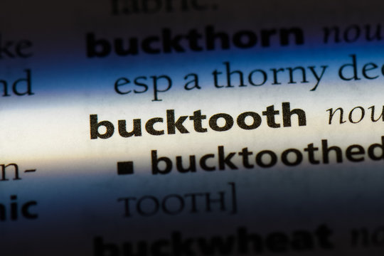 bucktooth word in a dictionary. bucktooth concept.