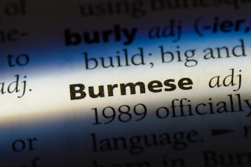 Obraz premium burmese