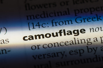 Obraz premium camouflage