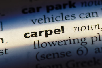 Obraz premium carpel