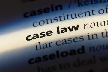  case law