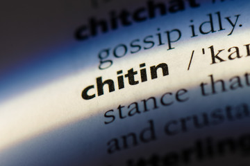  chitin - obrazy, fototapety, plakaty