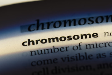  chromosome
