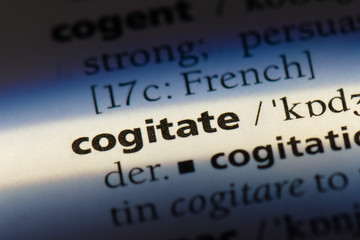 Obraz premium cogitate