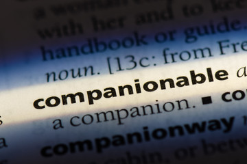  companionable