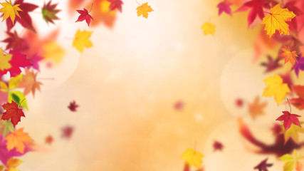 Autumn backround, autumn leafs in different fall colors with copy space