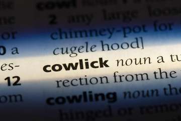  cowlick