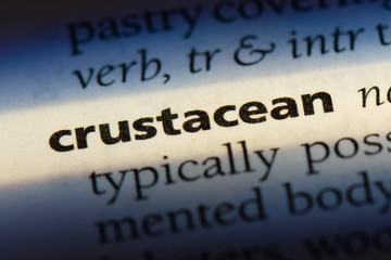  crustacean