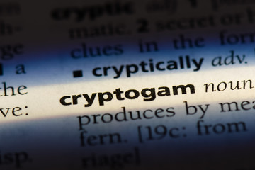  cryptogram - obrazy, fototapety, plakaty