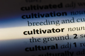  cultivator