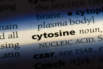 Obraz premium cytosine