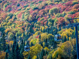 This is a picture of autumn leaves at Mont-Tremblant in the Laurentian plateau in Quebec, Canada. It is a scenery from Mont-Tremblant mountain. It is very beautiful with red and orange.