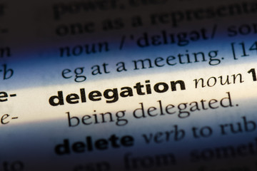  delegation