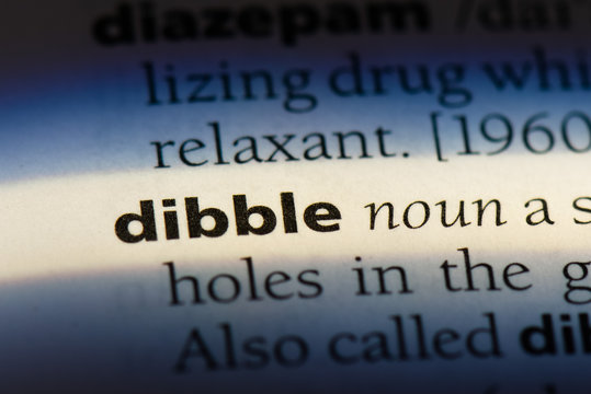  dibble