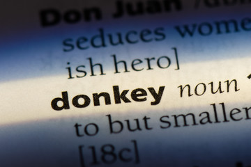  donkey