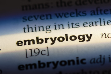  embryology