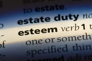 Obraz premium esteem