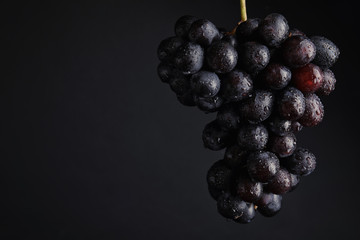 Fresh ripe juicy grapes and space for text on black background