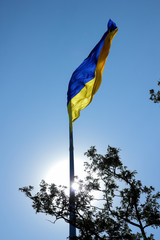 Ukrainian flag. Yellow blue Ukrainian flag on the background of the sky. Ukraine's Independence Day. National symbol in the rays of the sun. Blue background