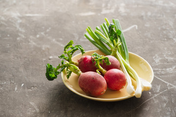 Summer harvest red radish. Growing organic vegetables. Raw fresh juicy garden radish on dark boards ready to eat.