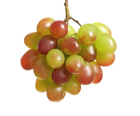 Bunch of fresh ripe juicy grapes on white background