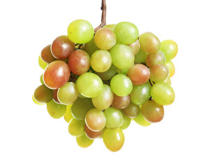 Bunch of fresh ripe juicy grapes on white background