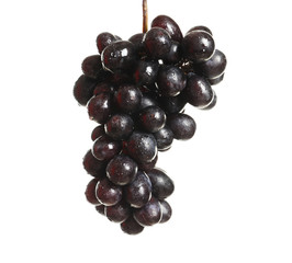 Bunch of fresh ripe juicy grapes on white background