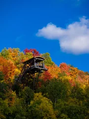 This is a picture of autumn leaves at Mont-Tremblant in the Laurentian plateau in Quebec, Canada. It is a lake on the outskirts of Mont-Tremblant. The view is fantastic. © Tom Spark