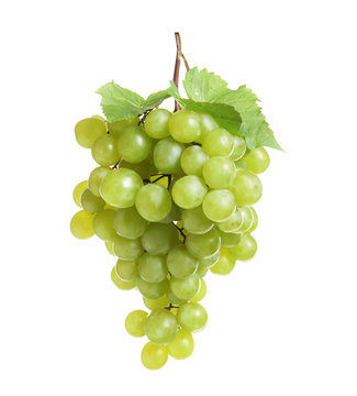 Bunch of fresh ripe juicy grapes on white background