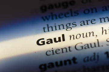  gaul