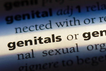 Obraz premium genitals