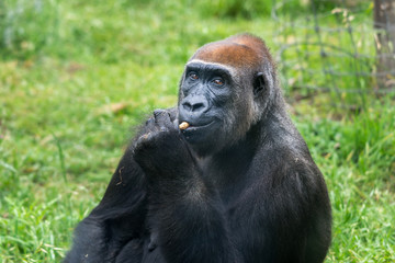 Morning Tour at Ramat Gan Safari Park