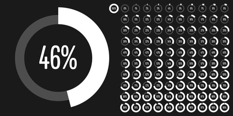 Fototapeta na wymiar Set of circle percentage diagrams from 0 to 100 ready-to-use for web design, user interface (UI) or infographic - indicator with white