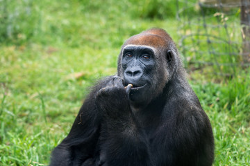 Morning Tour at Ramat Gan Safari Park