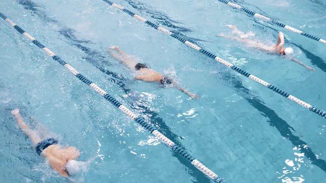 Top view four professional swimmer floating on track in swimming pool performing crawl style