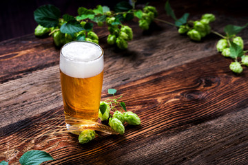 Bier - Alkohol - Spirituosen - Getränk - Hopfen - Gerste - Stutzen- Seidel - Kanne - Glas - 220501059