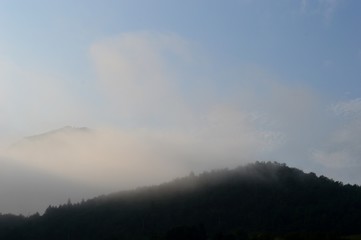morning fog
