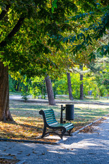 vintage bench in the park.