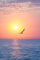 Fototapeta na wymiar beautiful sea sunset.