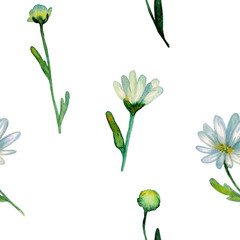 Floral pattern.  Watercolor hand drawn chrysanthemum flowers, branches, leaves.  Chrysanthemum Flower. Decor for design card, wedding invitation, greeting, textiles, fabric, clothing, linen, etc.  